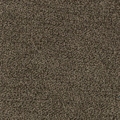 KK04188-004