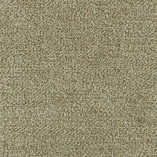 KK04188-005