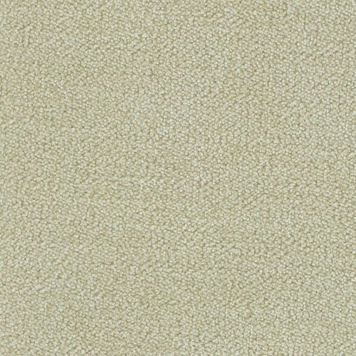 KK04188-007