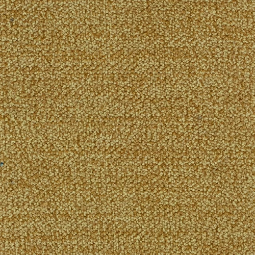 KK04188-018