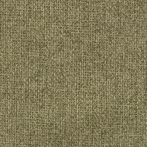 KK04189-009