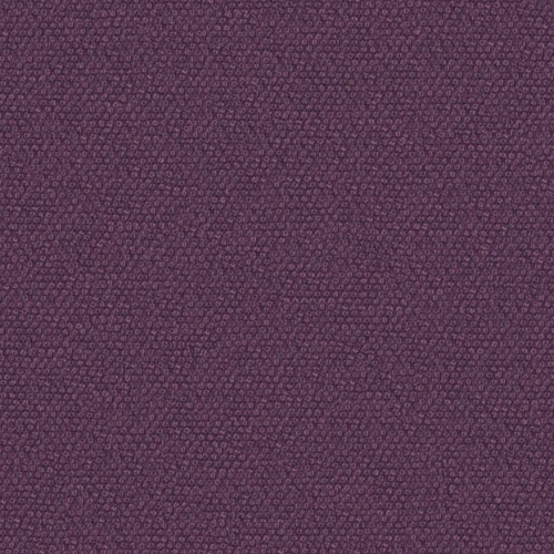 MAGNI