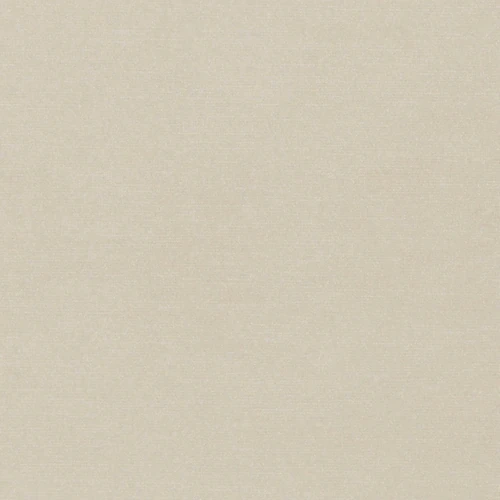 KK04289-018