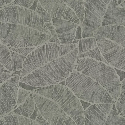 KK04291-004