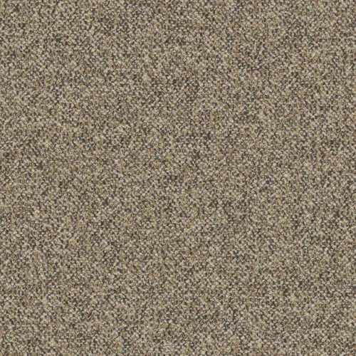KK04297-009
