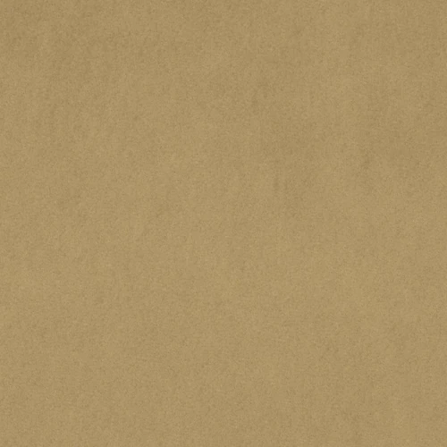 KK04301-005