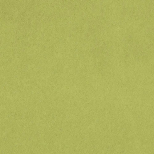 KK04301-026