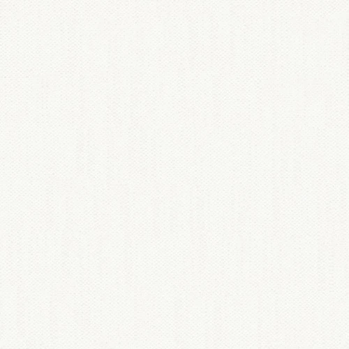 KK04321-008