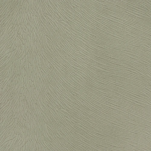 KK04341-005