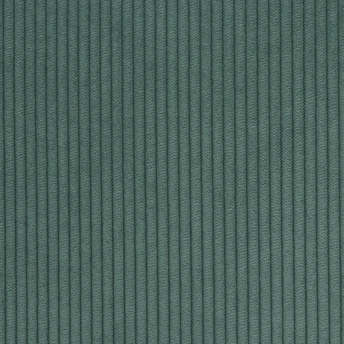 KK04469-007