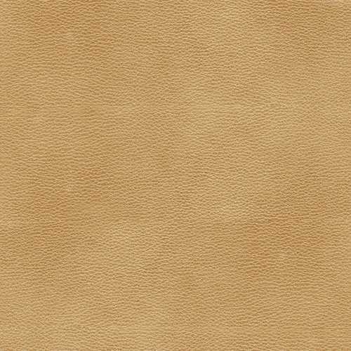 KK04530-005