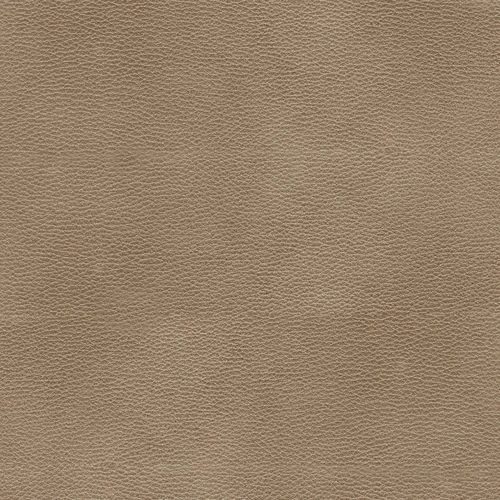 KK04530-006