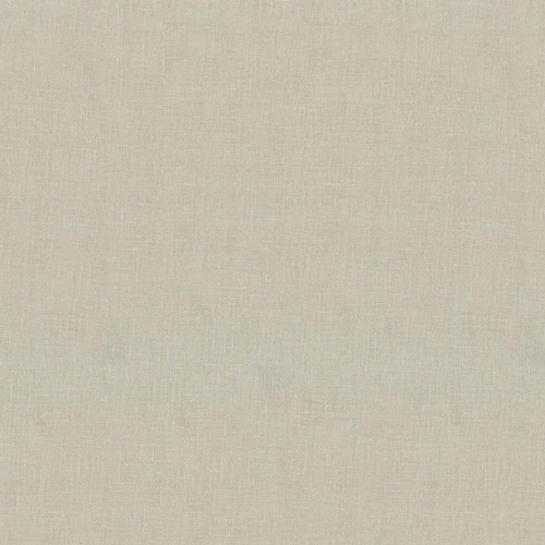 VV00738-001