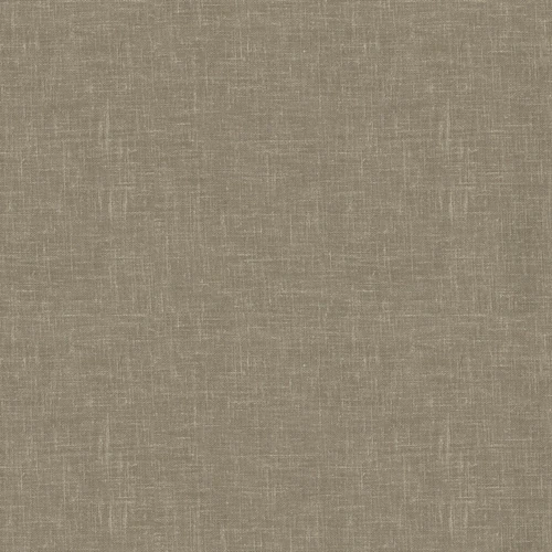 VV00738-004