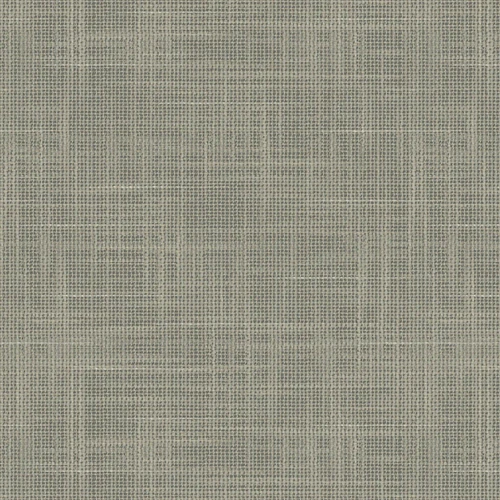 VV00808-003