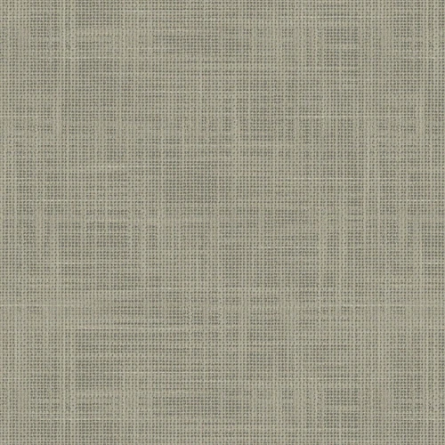 VV00808-004