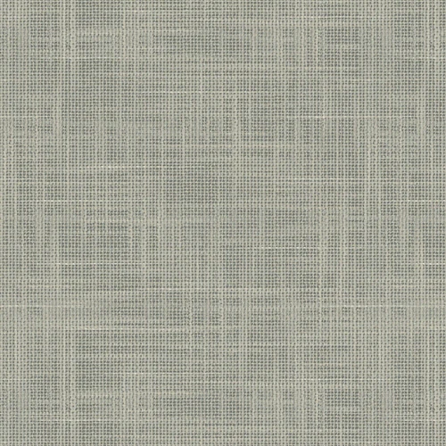 VV00808-005