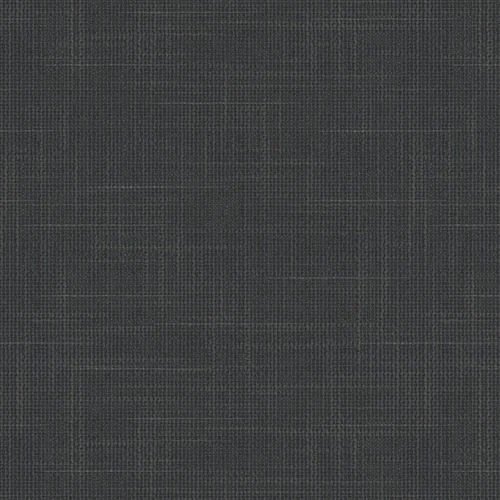 VV00808-016