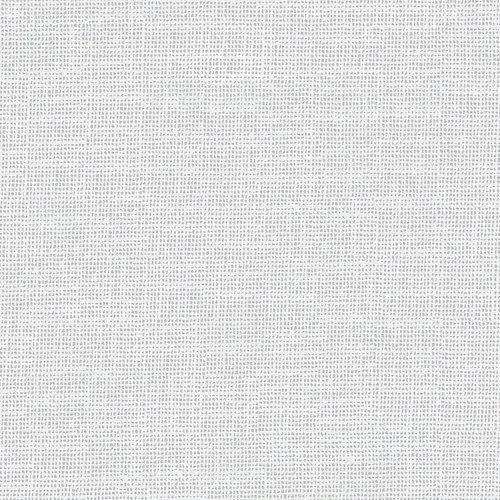 VV00828-001