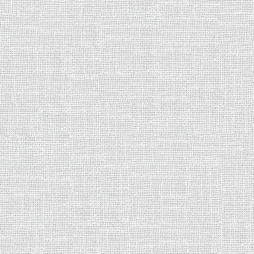 VV00828-002