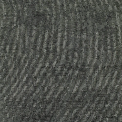 VV00829-003